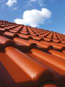 DALEP  PRT ROUGE TUILE Peinture Rénovation Toiture - Seau 3L