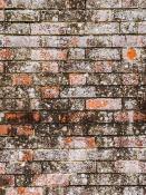 DALEP NET EXPRESS Nettoyant Rapide - Bidon 5L