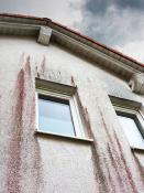 DALEP  ANTI-ALGUES Traitement Algicide Concentré - Bidon 5L