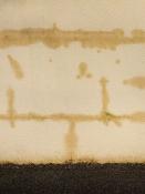 DALEP D 21 Hydrofuge Prêt à l'Emploi - Bidon 5L