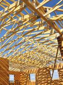 DALEP D'XYL Traitement Bois Tous Usages - Bidon 5L