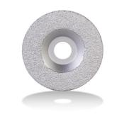 DISQUE VDG 100MM GRAIN EPAIS PRO RUBI - 31979